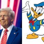 Donald Must Be Duck Again!