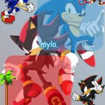shared sonic and shadow temp meme