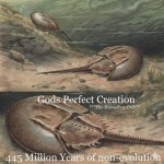 gods-perfect-creation