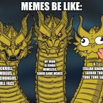 Three-headed Dragon | MEMES BE LIKE:; MY MOM IS KINDA HOMELESS,
SQUID GAME MEMES; 6 7,
ITALIAN BRAINROT
SKIBIDI TOILET
TUNG TUNG SAHUR; RICKROLL,
AMOGUS,
BIG CHUNGUS,
TROLL FACE | image tagged in three-headed dragon | made w/ Imgflip meme maker