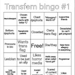 Raine's transfem bingo #1 template