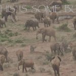 now this is some bullshit