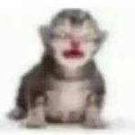 el que esta chinge y chinge cuando