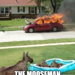 99.99999% Accuracy | THE MOOSEMAN STRIKES AGAIN! | image tagged in moose watching car fire,mooseman | made w/ Imgflip meme maker