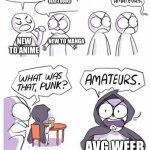 The average weeb | I HAVE WATCHED 2 SEASONS; I HAVE READ 4 BOOKS; NEW TO ANIME; NEW TO MANGA; AVG WEEB | image tagged in amateurs,anime | made w/ Imgflip meme maker