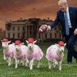 BAD BUNNY HALFTIME template