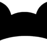 Mickey hat