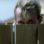 T bag looking over the fence