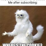 Persian white monkey | MrBeast: subscribe for a cookie
Me after subscribing:; WHERE'S THE COOKIE? | image tagged in persian white monkey | made w/ Imgflip meme maker