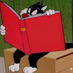 Sylvester reading