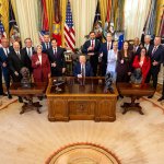 Trump Cabinet of Horrors