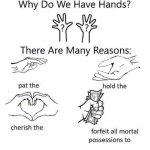 Why do we have hands?