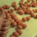 HowToBasic giving eggs a thumbs up GIF Template