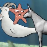 Charlie Unicorn - StarFish2