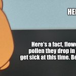 Hello, here's a fact! | HELLO; Here's a fact, flowers and trees carry pollen they drop in spring. Most people get sick at this time. Be careful around pollen. | image tagged in hello here's a fact | made w/ Imgflip meme maker