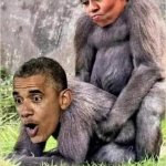 They Call Me Big Mike.