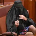Hanson's burqa stunt