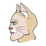 cat chad