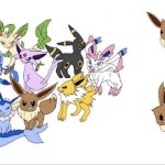 Angry hedgehogs of evolution