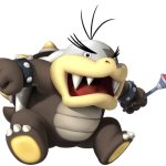 Morton Koopa Jr.