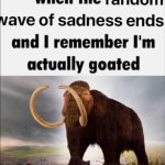 when the random wave of sadness end meme