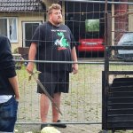 Drachelord Schwert Salat