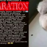 Declaration of Insanity