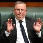 Anthony Village Idiot Albanese