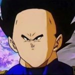Vegeta Meme Face
