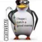 I hope I catch a good meme | LIVESTREAM | image tagged in i hope i catch a good meme,imgflip livestream,live reaction,live action,live stream,livestream | made w/ Imgflip meme maker