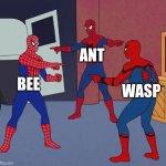 Bees, wasps and ants | ANT; BEE; WASP | image tagged in spider man triple,bees,wasps,ants | made w/ Imgflip meme maker