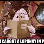 This is what my friend does | POV: YOU CAUGHT A LOPUNNY IN POKEMON | image tagged in gifs,pokemon,funny,funny meme | made w/ Imgflip video-to-gif maker
