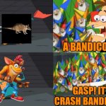 An ordinary Platypus? | A BANDICOOT? GASP! IT'S CRASH BANDICOOT! | image tagged in an ordinary platypus,bandicoot,crash bandicoot,activision,marsupial | made w/ Imgflip meme maker