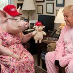 SHOW ME WHERE template