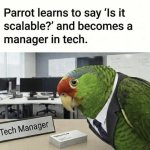 parrot learns