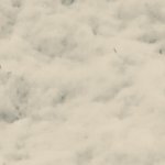 Snow Mirror Image Mode