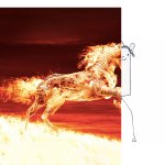 Horse fire then drawing