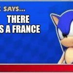 there is a france | THERE IS A FRANCE | image tagged in sonic says | made w/ Imgflip meme maker