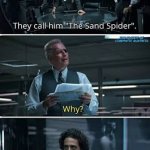 True Lies Sand Spider meme