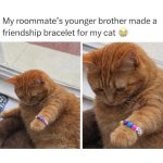 Cat bracelet