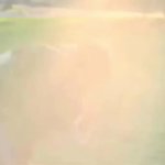 Man Tackles Grandpa GIF Template