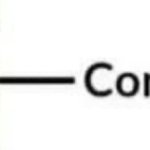 congratulation steak