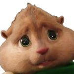 Sad chipmunk face