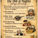 bill of rights funny