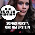 Prinsessan Sofia Jeffrey Epstein Pedofil Dumpen