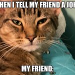 Cat | WHEN I TELL MY FRIEND A JOKE; MY FRIEND: | image tagged in cat | made w/ Imgflip meme maker