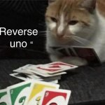 uno reverse cat