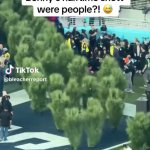 Superbowl Bushes GIF Template