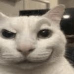 Cat raising eyebrow meme