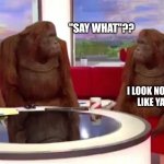 where monkey | "SAY WHAT"?? I LOOK NOTHING LIKE YA'LL! | image tagged in where monkey | made w/ Imgflip meme maker